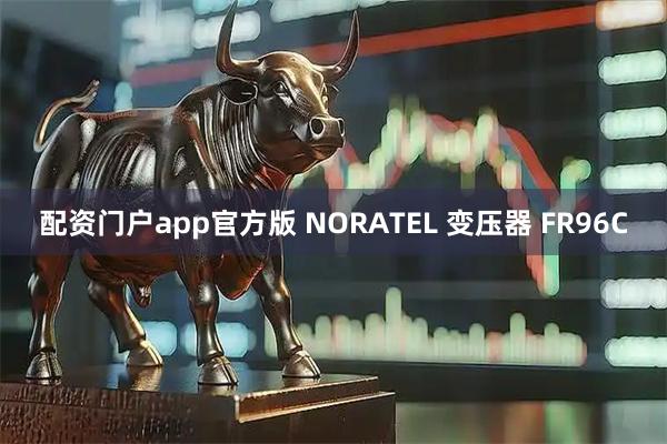 配资门户app官方版 NORATEL 变压器 FR96C